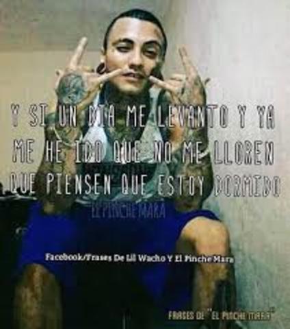 el gran avance de el mara en la redes sociales