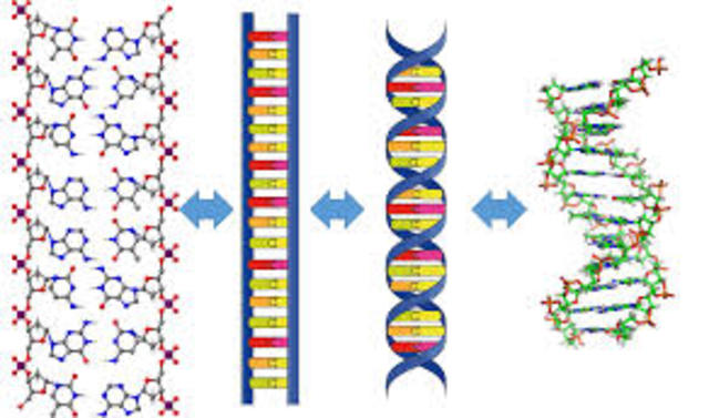 Principio de complementariedad