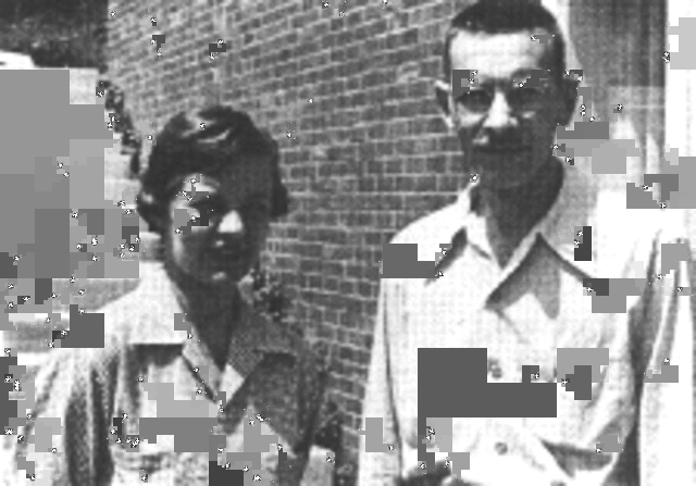 El ADN contiene la información para la síntesis de nuevos virus