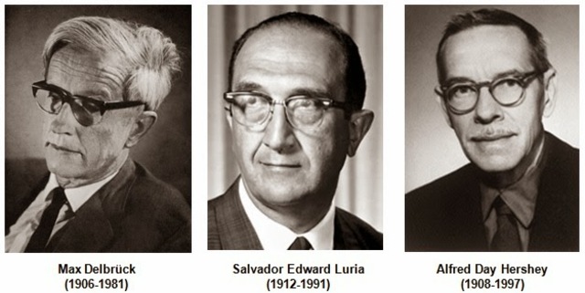 Premio Nobel Salvador Luria, Alfred Hershey y Max Delbrück