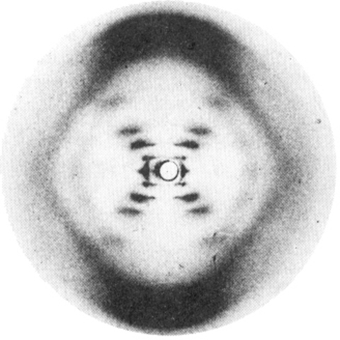 Watson, Crick, Franklin y Wilkins proponen modelo de doble hélice de ADN