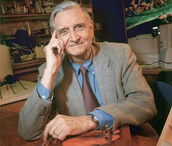 Introducción del termino "Biodiversidad"