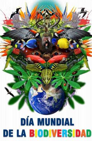 Día Internacional de la Biodiversidad