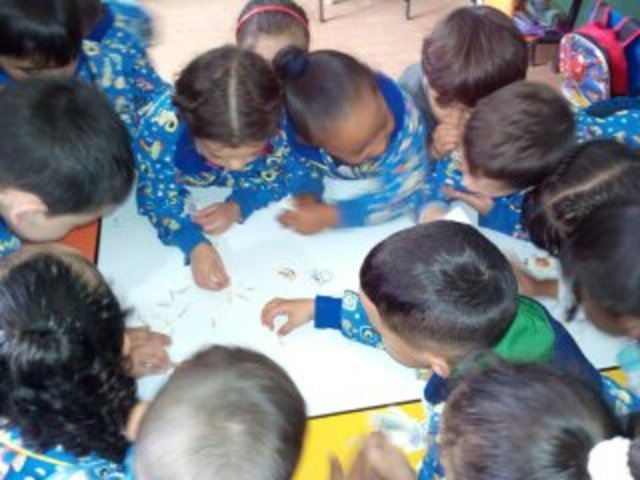 MAESTRÍA EN EDUCACIÓN