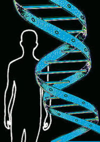 Primer borrador del genoma humano