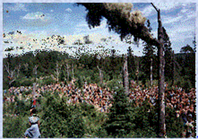 First rainbow gathering held in Colorado