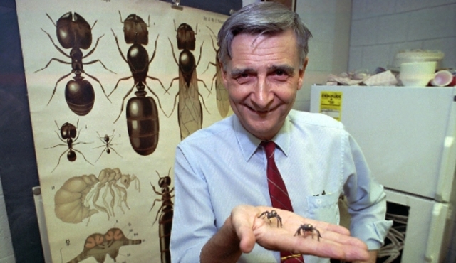 Edward Osborne Wilson