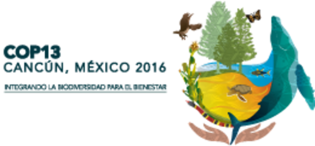 Declaración de Cancún