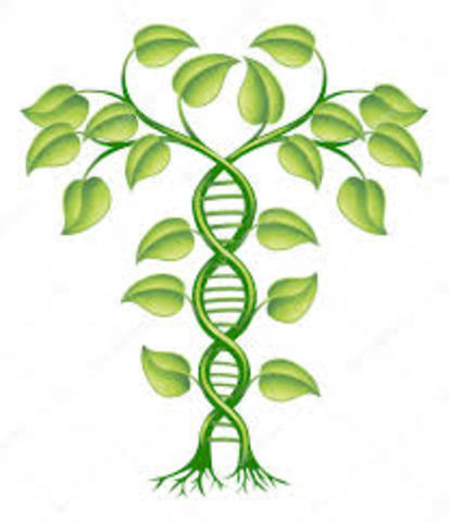 A.N. Belozersky extrae ADN de plantas, demintinedo así la teoría de que estas solo poseían ARN.