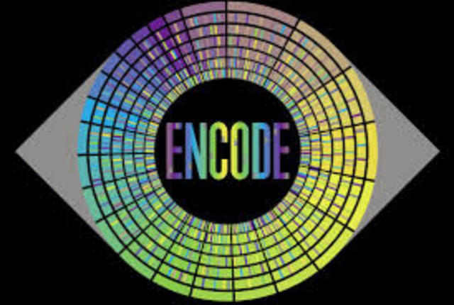 Proyecto ENCODE
