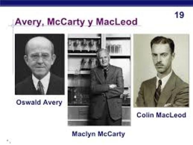 AVERY, MCLEOD Y MCCARTY