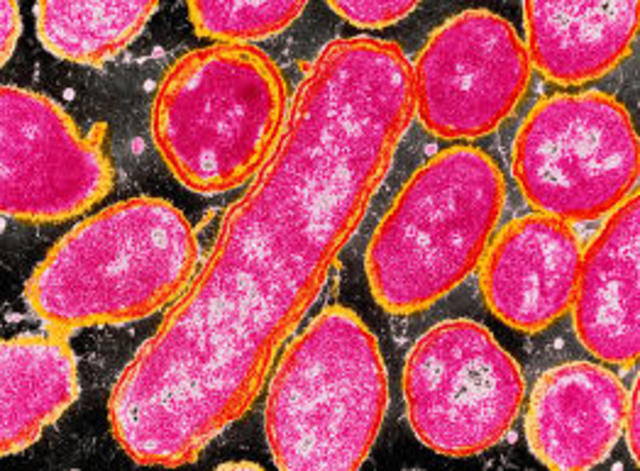 Se publica la secuencia completa del "Haemophilus influenzae"