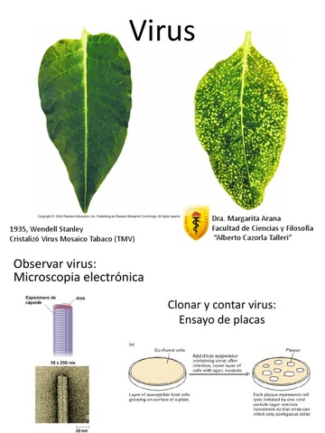 Wendell Meredith Stanley