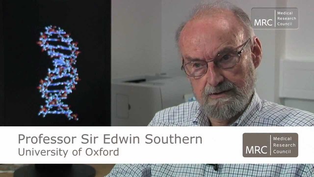 Edwin Southern publica el invento Southern Blot para reconocer fragmentos de ADN por hibridación