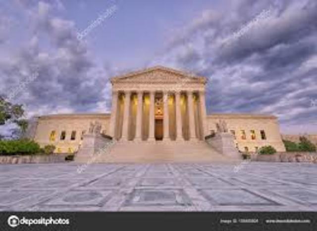 El Tribunal Supremo acepta que se patenten organismos obtenidos por ingeniería.