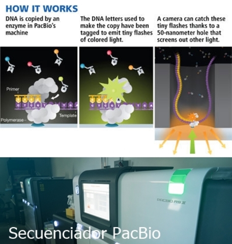 Aparece el primer secuenciador automatizado.