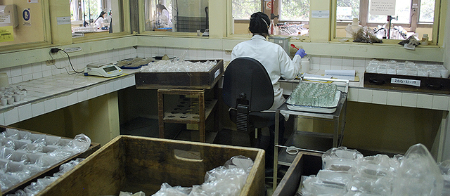 Instituto Geográfico Agustín Codazzi