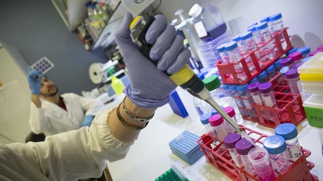 Ultimos avances en la biología molecular