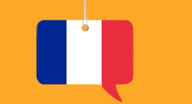 Dominar el Idioma francés