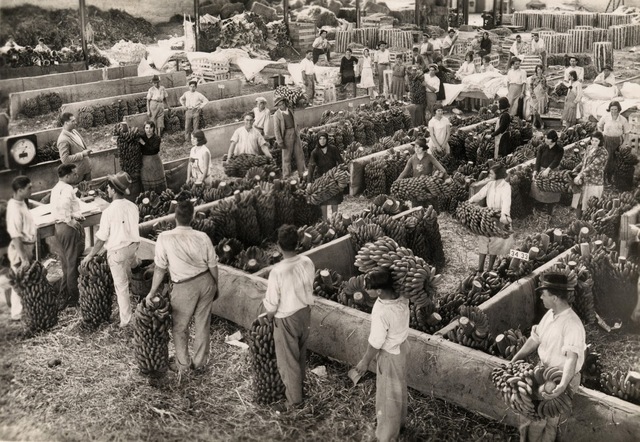 Producción post guerra