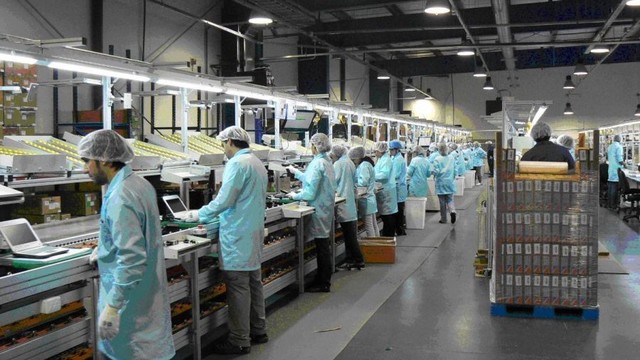 Aseguramiento de la calidad