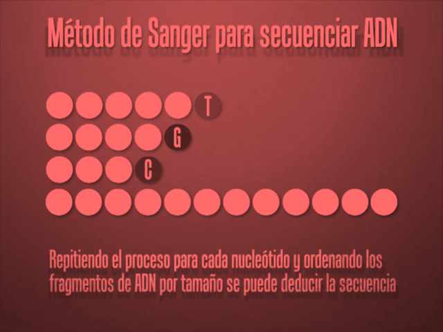 Método de Sanger
