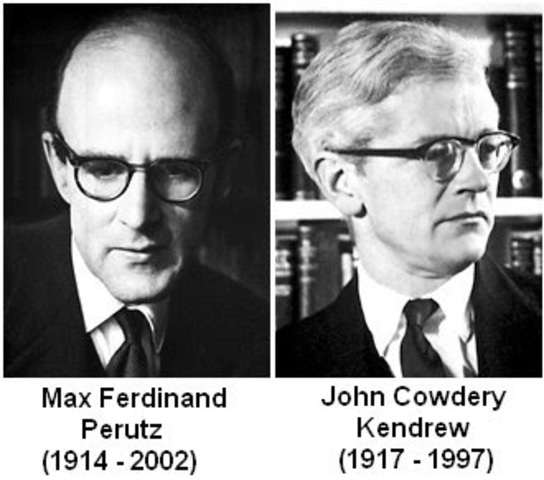 John Kendrew y Max Perutz