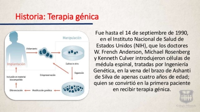 Terapia génica