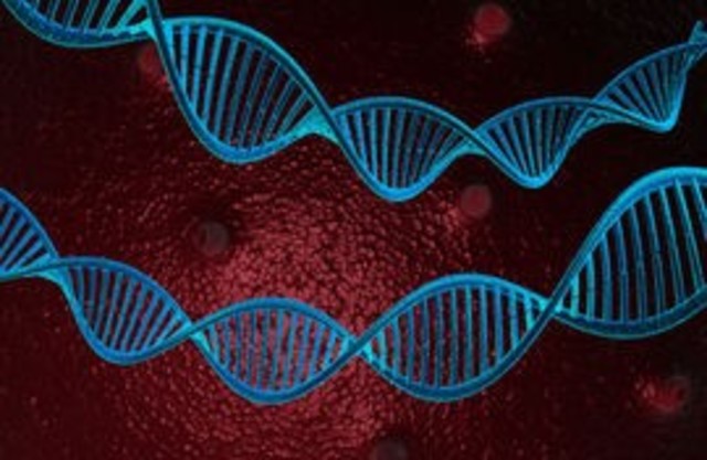 Hibridación de ácidos nucleicos.