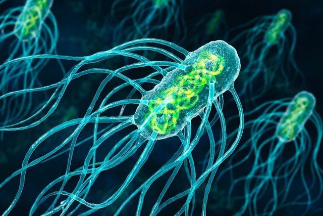 Mecanismos de restricción en bacterias