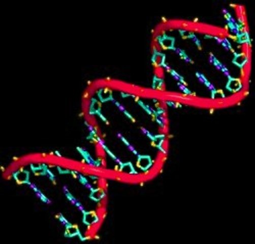Secuenciacion química de ácidos nucleicos