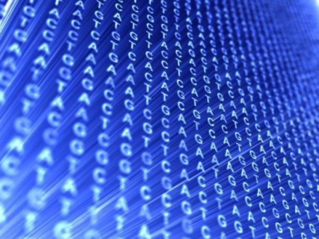 El desarrollo del DNA