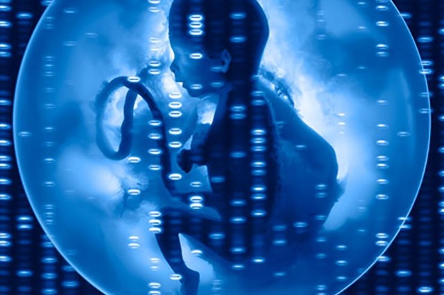 Diagnosticos Prenatales