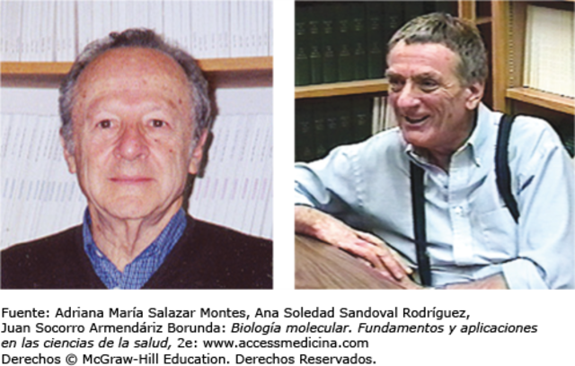 Mathew Stanley Meselson y Franklin Stahl