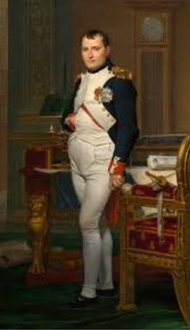 Napolean Returns To Power