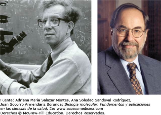 Howard Martin Temin y David Baltimore descubrieron una nueva enzima denominada transcriptasa inversa o retrotranscriptasa,
