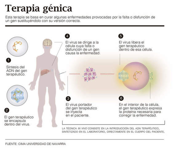 Terapia génica