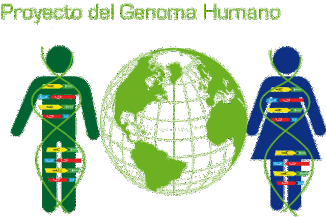 Proyecto del Genoma Humano
