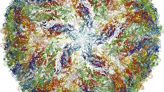 Sistema de edición genética  CRISPR