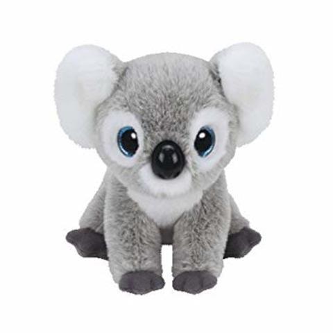 Koala arrives our lifes
