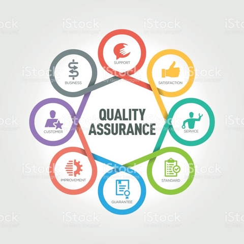 Surgió el término "Quality Assurance".