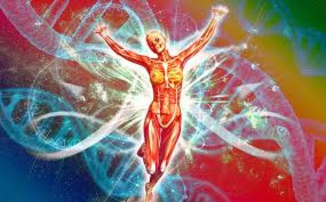 Completacion Final del Genoma Humano