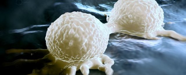 Se sintetiza la primera celula