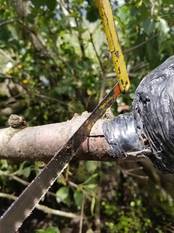 Arrancamiento o extraccion del Acodo aereo