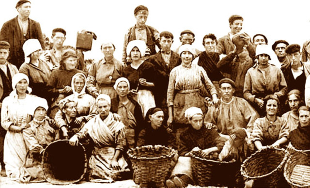 PREDOMINIO DE LA AGRICULTURA EN ESPAÑA