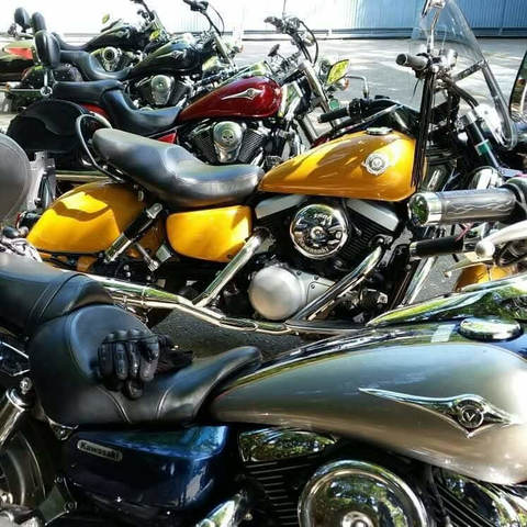 EN BUSCA DEL GANGO (ARANJUEZ-COLMENAR DE OREJA)