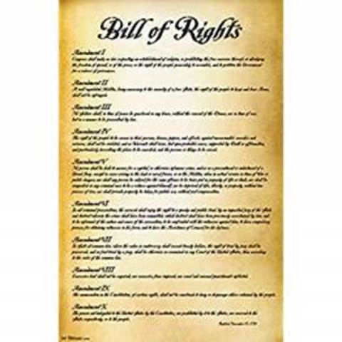 Bill of rights