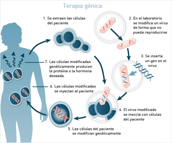 Terapia Genica