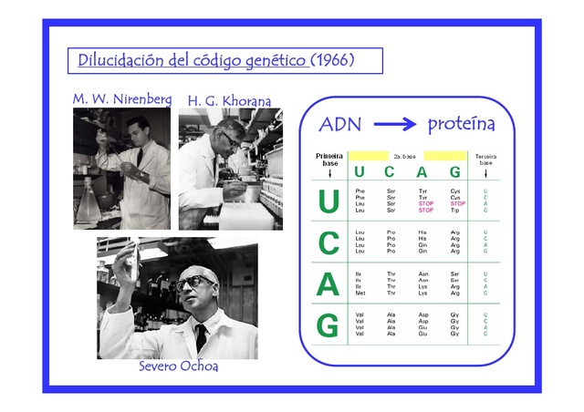 Nirenberg, Ochoa y Khorana