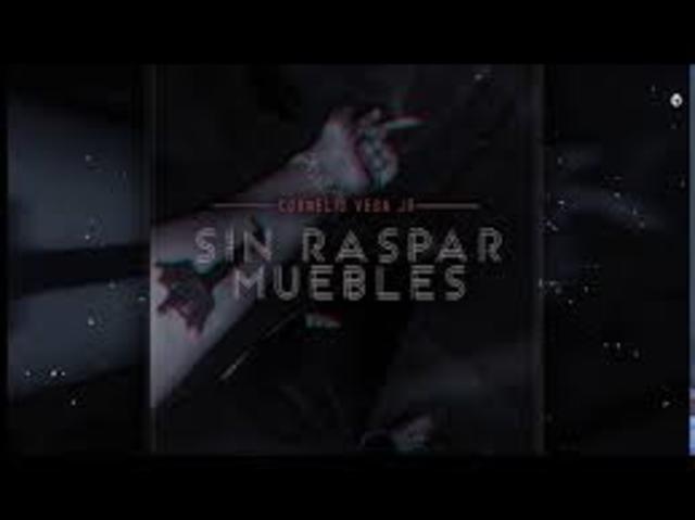 " sin raspar muebles"